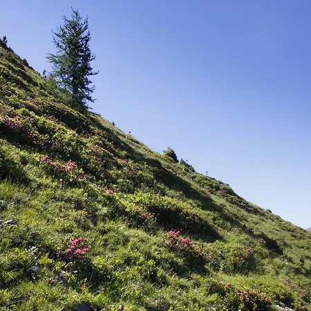 Otel Panorama Turracher Hohe