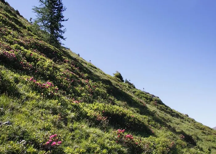 Hotel Panorama Turracher Hohe